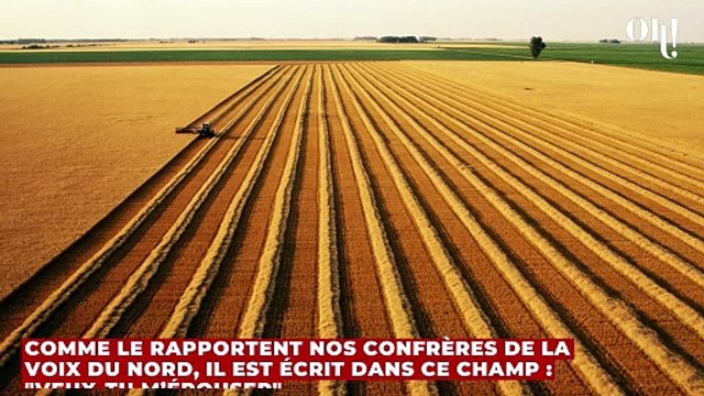 Nord : Qui est l’auteur du mystérieux message tracé dans un champ du Cambrésis ?