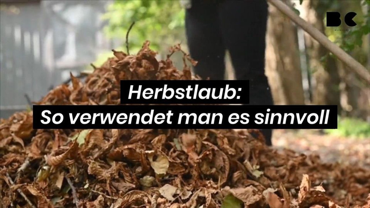 Herbstlaub: so verwendet man es sinnvoll