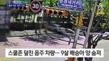 스쿨존 사망 ‘배승아 참변’…음주 운전자, 1심서 징역 12년 선고