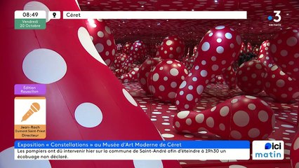 Jean-Roch Dumont Saint Priest, directeur du Musée d’Art Moderne de Céret