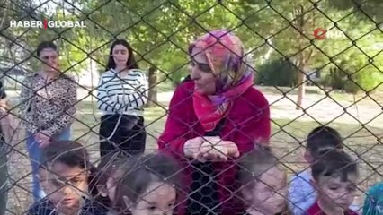 Kedi ve köpeğin dostluğuna tanıklık ettiler: "Amacımız çocuklara hayvan sevgisini kazandırabilmek"