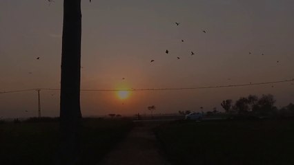 My Village Tour  _ The Future of  Village Vlogging  is Here _ Abdullah Nisar