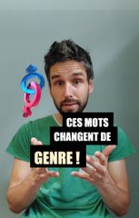 Mots Gender-Fluids : Quand le Genre Change au Singulier et au Pluriel ✨