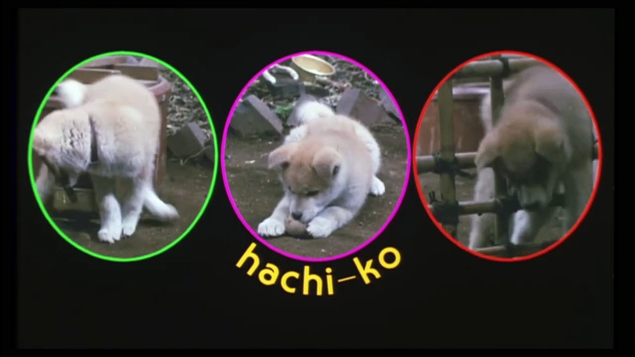 Hachiko (1987) ORIGINAL TRAILER [HD 1080p] video Dailymotion