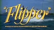 Flipper (1963) Official Trailer - Chuck Connors, Luke Halpin Movie HD