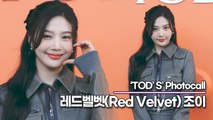 레드벨벳(Red Velvet) 조이, 완벽한 미모와 품격마저 느껴지는 미소(‘토즈’ 포토월) [TOP영상]