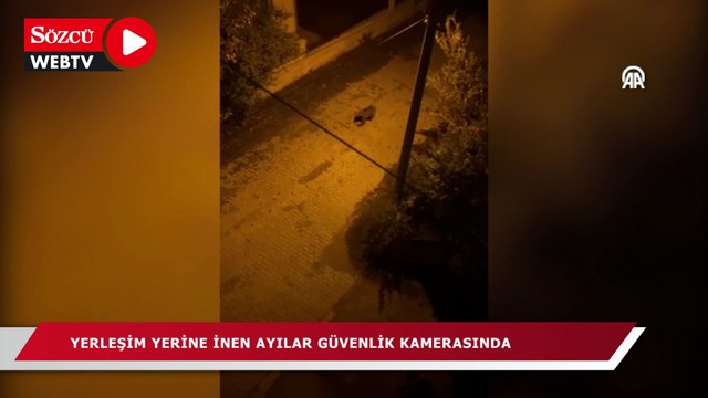 Yerleşim yerine inen ayı güvenlik kamerasıyla görüntülendi