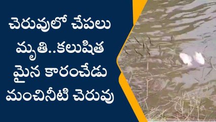 బాపట్ల జిల్లా: కారంచేడులో కలకలం