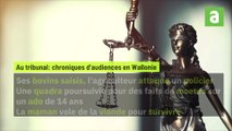 Récap judiciaire 22/10/2023