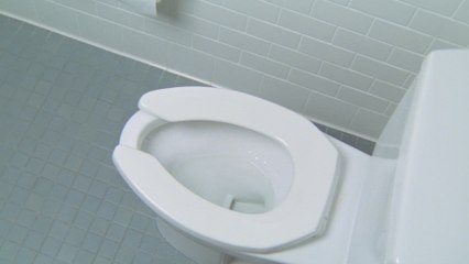 Here's why you should never flush your pet's poo down the toilet