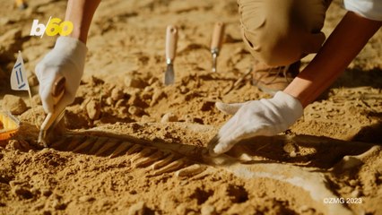 The Great Utah Dino-Bones Heist of 2023