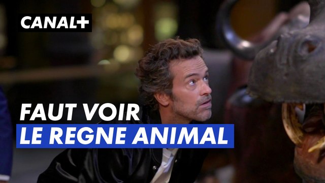 Faut voir ! - Le Règne animal