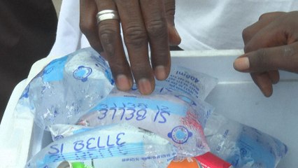 A Dakar, le fléau du sachet d'eau en plastique