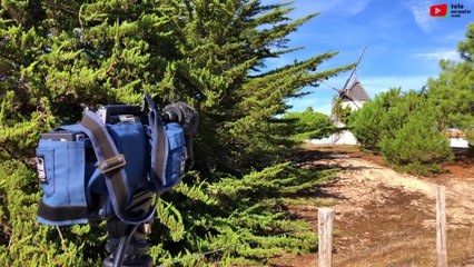 Noirmoutier  |  Les Moulins de l'Île  |  Télé Noirmoutier Vendée