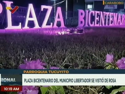 Carabobo | Mcpio. Libertador realizó el encendido rosa para prevención del cáncer de mama
