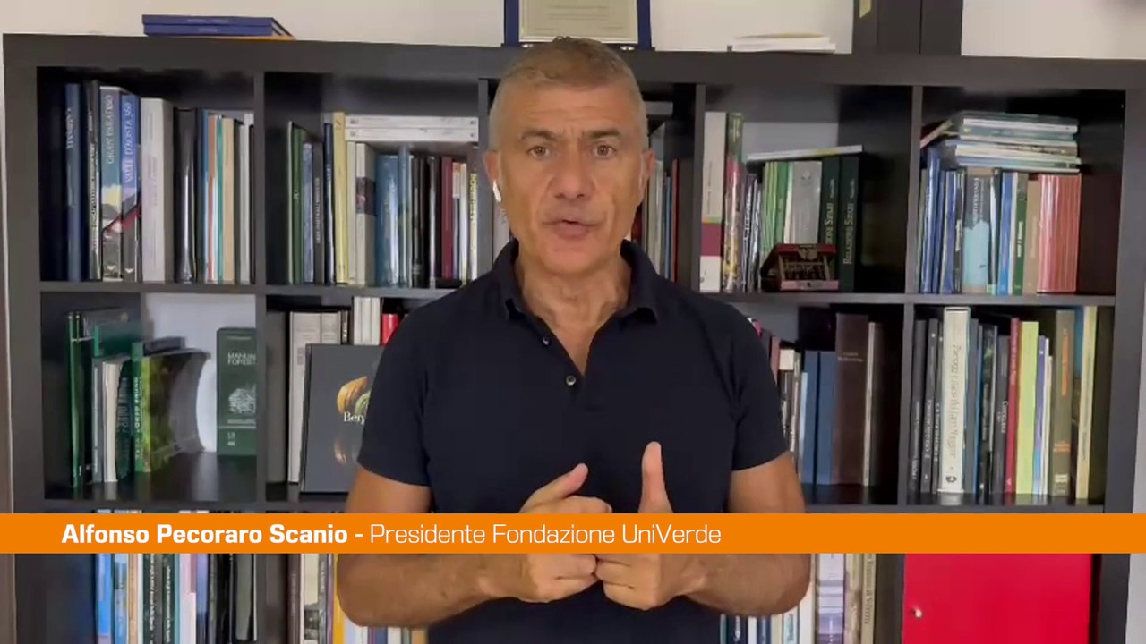 Pecoraro Scanio "Serve legge sul clima e commissariato ad hoc"