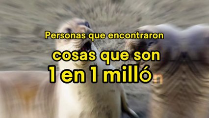 Imágenes Que Te harán EXPLOTAR la Cabeza vol 1