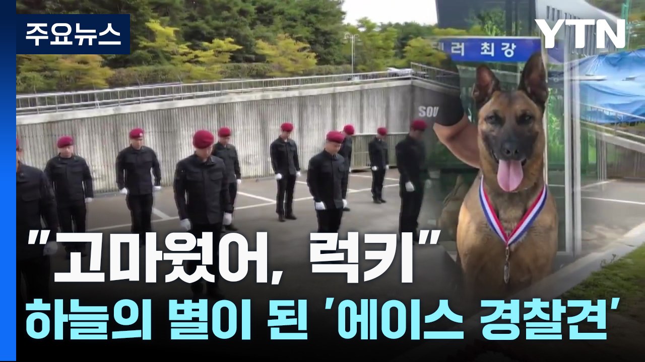 "잘 가 럭키야!"...하늘의 별이 된 경찰견 [앵커리포트] / YTN