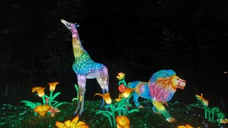Le festival Luminescences revient au zoo d'Amnéville