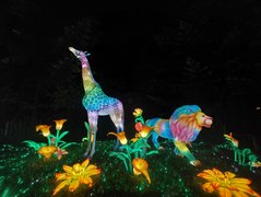 Le festival Luminescences revient au zoo d'Amnéville