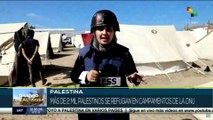 Palestina: Más de dos mil palestinos se refugian en campamentos de la ONU