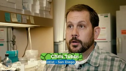 Changing Up The Diets of Rhinos Is a Key Assignment for Nutritionists