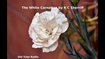 The White Carnation
