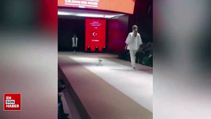 Podyumda mankenlerle yürüyen kedi