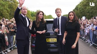 Meghan Markle To Help Prince Harry & Prince William Reconcile?