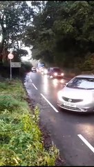 Wellington road blocked by fallen tree