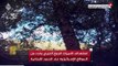 Hezbollah publishes a video of the targeting of surveillance cameras and the eavesdropping system at the Lebanese border