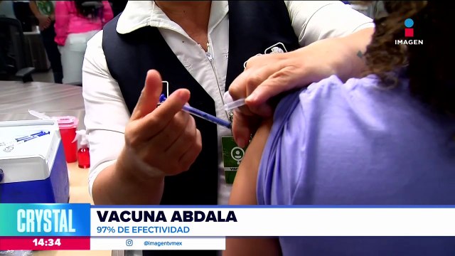 Vacunación contra Covid-19 e influenza en CDMX, ¿se pueden aplicar juntas?