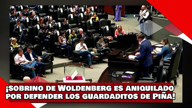 VEAN! ¡sobrino de expresidente del INE es aniquilado por Reginaldo por defender guardaditos de Piña!