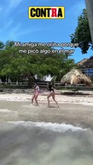 Mujer ORINA a su amiga en plena playa tras recibir una PICADURA de medusa