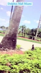 Dolphin Mall Miami Sweetwater, FL 2023