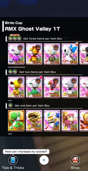 Mario Kart Tour: Battle Tour: Birdo Cup