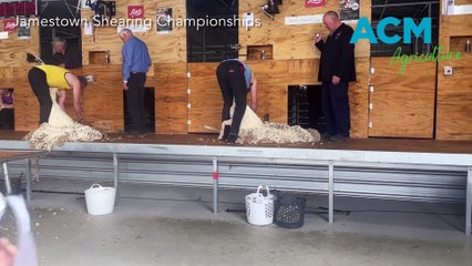 Jamestown Shearing Championships - Stock Journal - Oct 21, 23