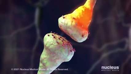 Drug Addiction_ How Opioids Like Fentanyl Work