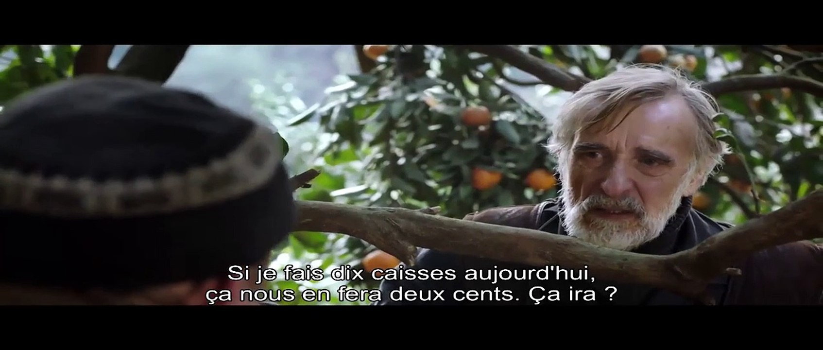 Mandarines