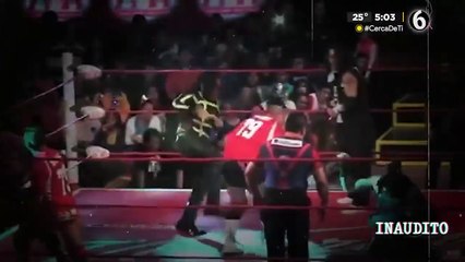 Así fue el triste final del 'Perro Aguayo Jr'