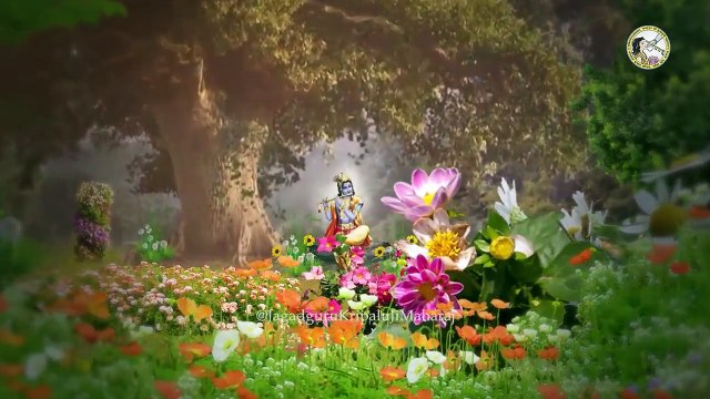 कैसे मिलेगी जीवन मरण से छुट्टी_ by Jagadguru Shri Kripalu Ji Maharaj