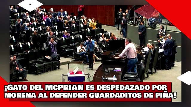 ¡VEAN! ¡gato del McPRIAN es despedazado por Sonia Rincón por defender los guardaditos de Norma Piña!