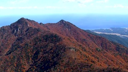 [영상] 울긋불긋 오색 단풍의 절정 / YTN