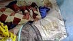 Delikadong hayop, ginambala ang pagtulog ng isang pamilya | GMA Integrated Newsfeed