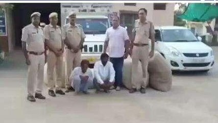 भीलवाड़ा: पीकअप में भरकर ले जा रहे थे अवैध डोडा चूरा, पुलिस ने दिखाई हवालात