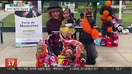 [지구촌톡톡] 강아지 '핼러윈 의상대회' 1등의 주인공은 바로 나! 外