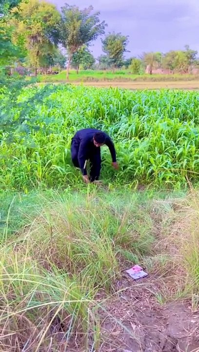 Market Main Naya Peer Baba A Gaya#foryou #viral #funny