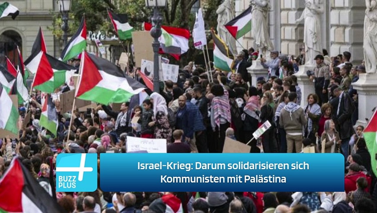 Israel-Krieg: Darum solidarisieren sich Kommunisten mit Palästina