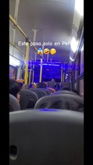 ¡Ya llega Navidad! Mujer sorprende al viajar al lado de su pavito en transporte público