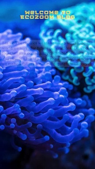 Welcome to Ecozoom Blog